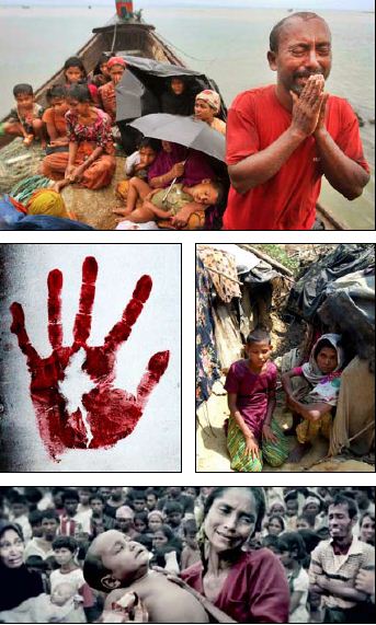 The Outcry of Rohingya!